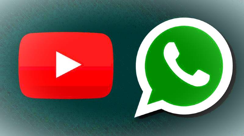 Aprende a subir vídeos de YouTube a los estados de WhatsApp - Tecnovery